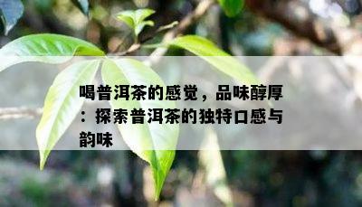 喝普洱茶的感觉，品味醇厚：探索普洱茶的独特口感与韵味