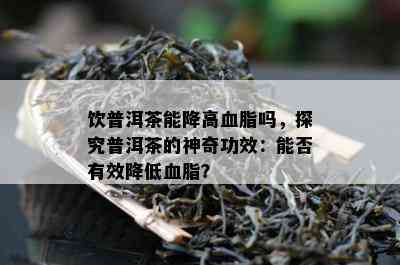 饮普洱茶能降高血脂吗，探究普洱茶的神奇功效：能否有效降低血脂？