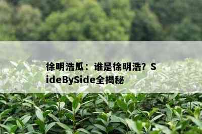  *** 浩瓜：谁是 *** 浩？SideBySide全揭秘