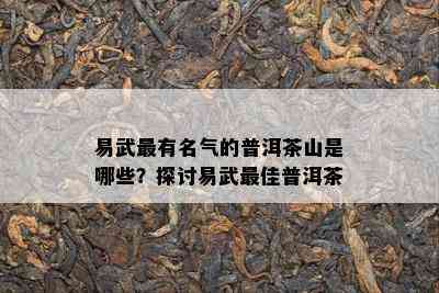 易武最有名气的普洱茶山是哪些？探讨易武更佳普洱茶