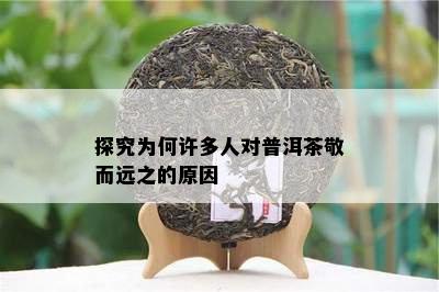 探究为何许多人对普洱茶敬而远之的原因