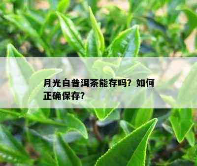 月光白普洱茶能存吗？如何正确保存？