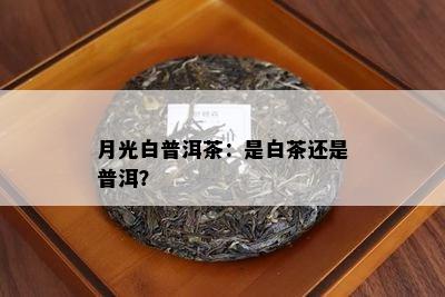 月光白普洱茶：是白茶还是普洱？