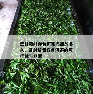 密封箱能存普洱茶吗能放多久，密封箱保存普洱茶的可行性与期限