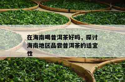 在海南喝普洱茶好吗，探讨海南地区品尝普洱茶的适宜性