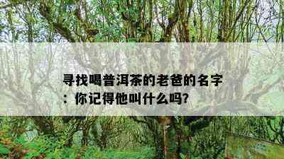 寻找喝普洱茶的老爸的名字：你记得他叫什么吗？