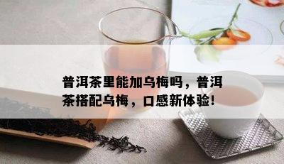 普洱茶里能加乌梅吗，普洱茶搭配乌梅，口感新体验！