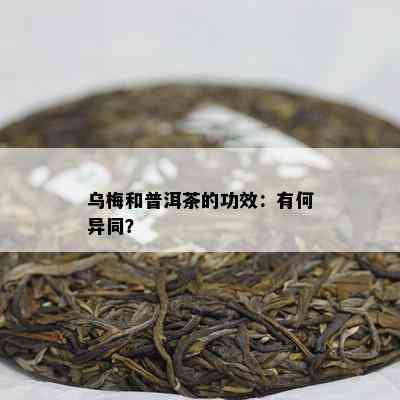 乌梅和普洱茶的功效：有何异同？