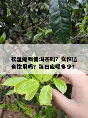 祛湿能喝普洱茶吗？女性适合饮用吗？每日应喝多少？