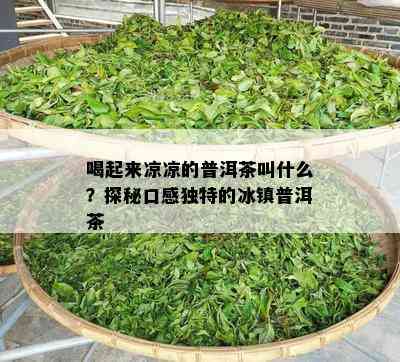 喝起来凉凉的普洱茶叫什么？探秘口感特别的冰镇普洱茶