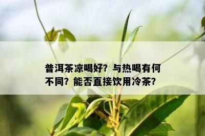 普洱茶凉喝好？与热喝有何不同？能否直接饮用冷茶？