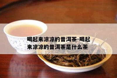 喝起来凉凉的普洱茶-喝起来凉凉的普洱茶是什么茶