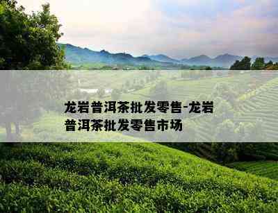 龙岩普洱茶批发零售-龙岩普洱茶批发零售市场