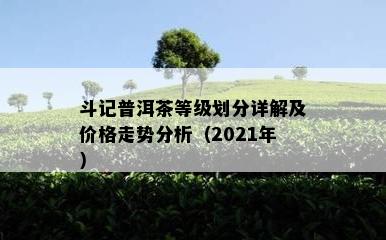 斗记普洱茶等级划分详解及价格走势分析（2021年）