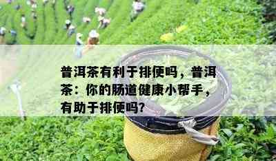 普洱茶有利于排便吗，普洱茶：你的肠道健康小帮手，有助于排便吗？