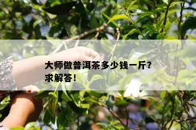 大师做普洱茶多少钱一斤？求解答！