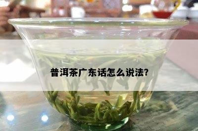 普洱茶广东话怎么说法？