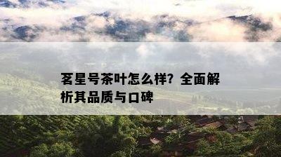 茗星号茶叶怎么样？全面解析其品质与口碑