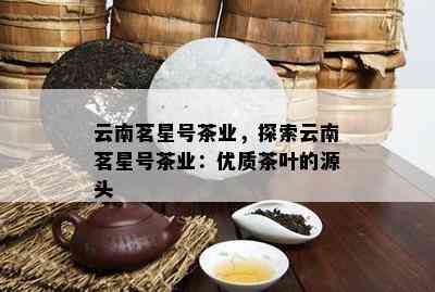 云南茗星号茶业，探索云南茗星号茶业：优质茶叶的源头