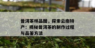 普洱茶样品图，探索云南特产：揭秘普洱茶的制作过程与品鉴方法