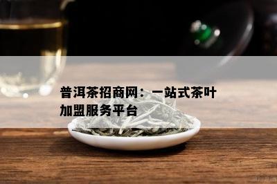 普洱茶招商网：一站式茶叶加盟服务平台