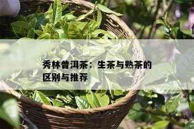 秀林普洱茶：生茶与熟茶的区别与推荐