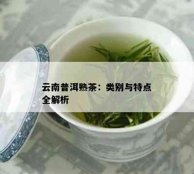 云南普洱熟茶：类别与特点全解析