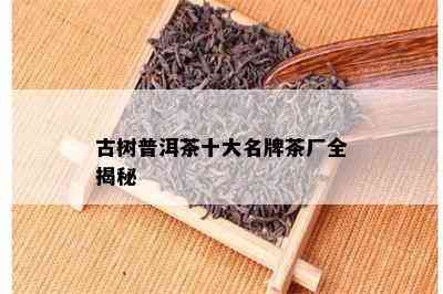 古树普洱茶十大名牌茶厂全揭秘