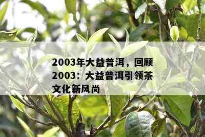 2003年大益普洱，回顾2003：大益普洱引领茶文化新风尚