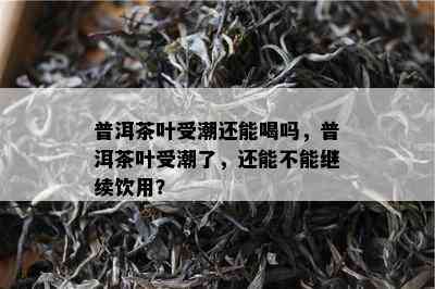 普洱茶叶受潮还能喝吗，普洱茶叶受潮了，还能不能继续饮用？