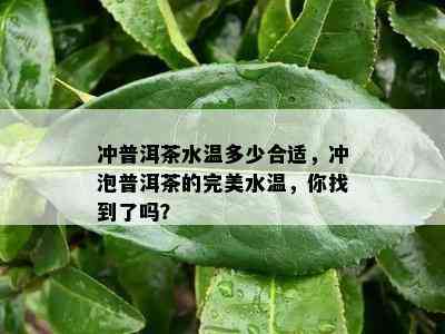 冲普洱茶水温多少合适，冲泡普洱茶的完美水温，你找到了吗？