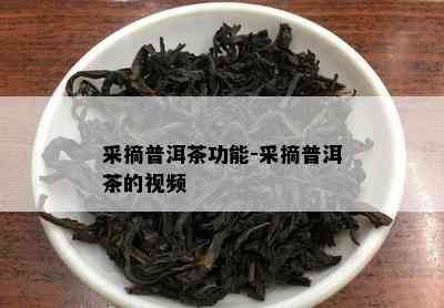 采摘普洱茶功能-采摘普洱茶的视频