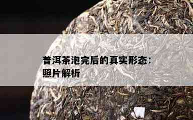 普洱茶泡完后的真实形态：照片解析