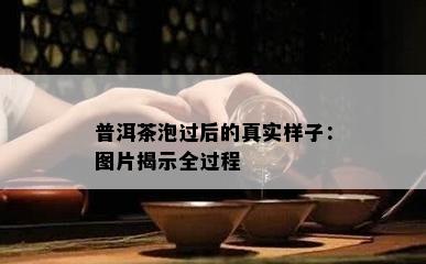 普洱茶泡过后的真实样子：图片揭示全过程