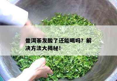 普洱茶发酸了还能喝吗？解决方法大揭秘！