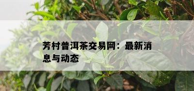 芳村普洱茶交易网：最新消息与动态