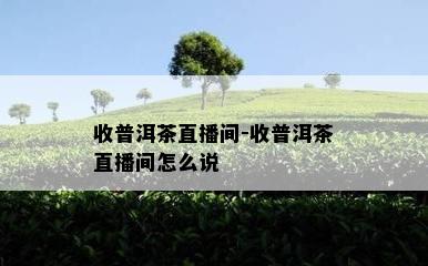 收普洱茶直播间-收普洱茶直播间怎么说