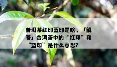 普洱茶红印蓝印是啥，「解答」普洱茶中的“红印”和“蓝印”是什么意思？