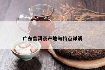 广东普洱茶产地与特点详解