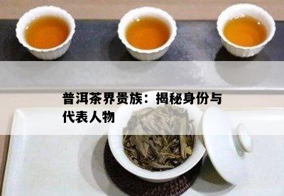 普洱茶界贵族：揭秘身份与代表人物