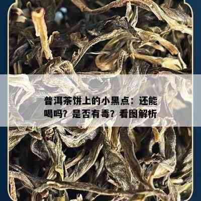 普洱茶饼上的小黑点：还能喝吗？是否有？看图解析