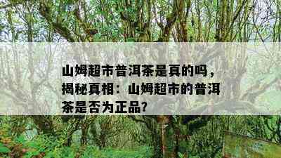 山姆超市普洱茶是真的吗，揭秘真相：山姆超市的普洱茶是不是为正品？