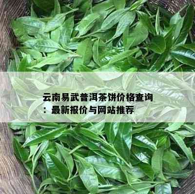 云南易武普洱茶饼价格查询：最新报价与网站推荐