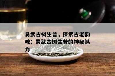 易武古树生普，探索古老韵味：易武古树生普的神秘魅力