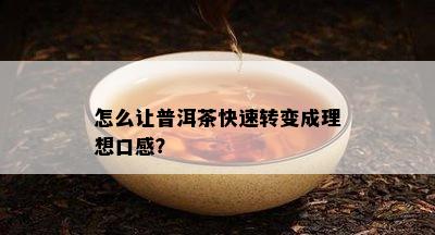 怎么让普洱茶快速转变成理想口感？