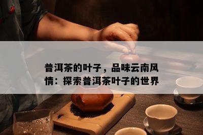 普洱茶的叶子，品味云南风情：探索普洱茶叶子的世界