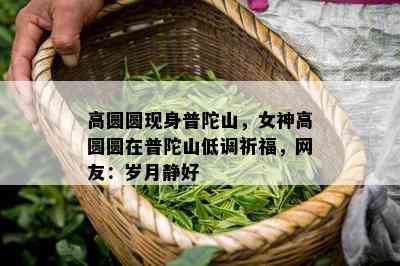 高圆圆现身普陀山，女神高圆圆在普陀山低调祈福，网友：岁月静好