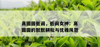 高圆圆低调，低调女神：高圆圆的默默耕耘与优雅风范