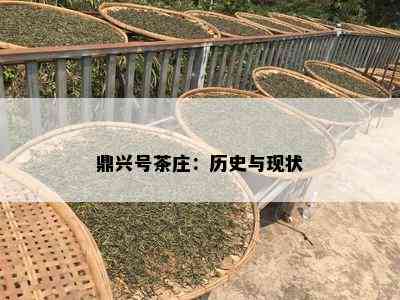 鼎兴号茶庄：历史与现状