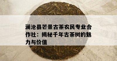 澜沧县芒景古茶农民专业合作社：揭秘千年古茶树的魅力与价值